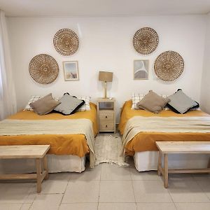 Apart 3 - Terra Maria